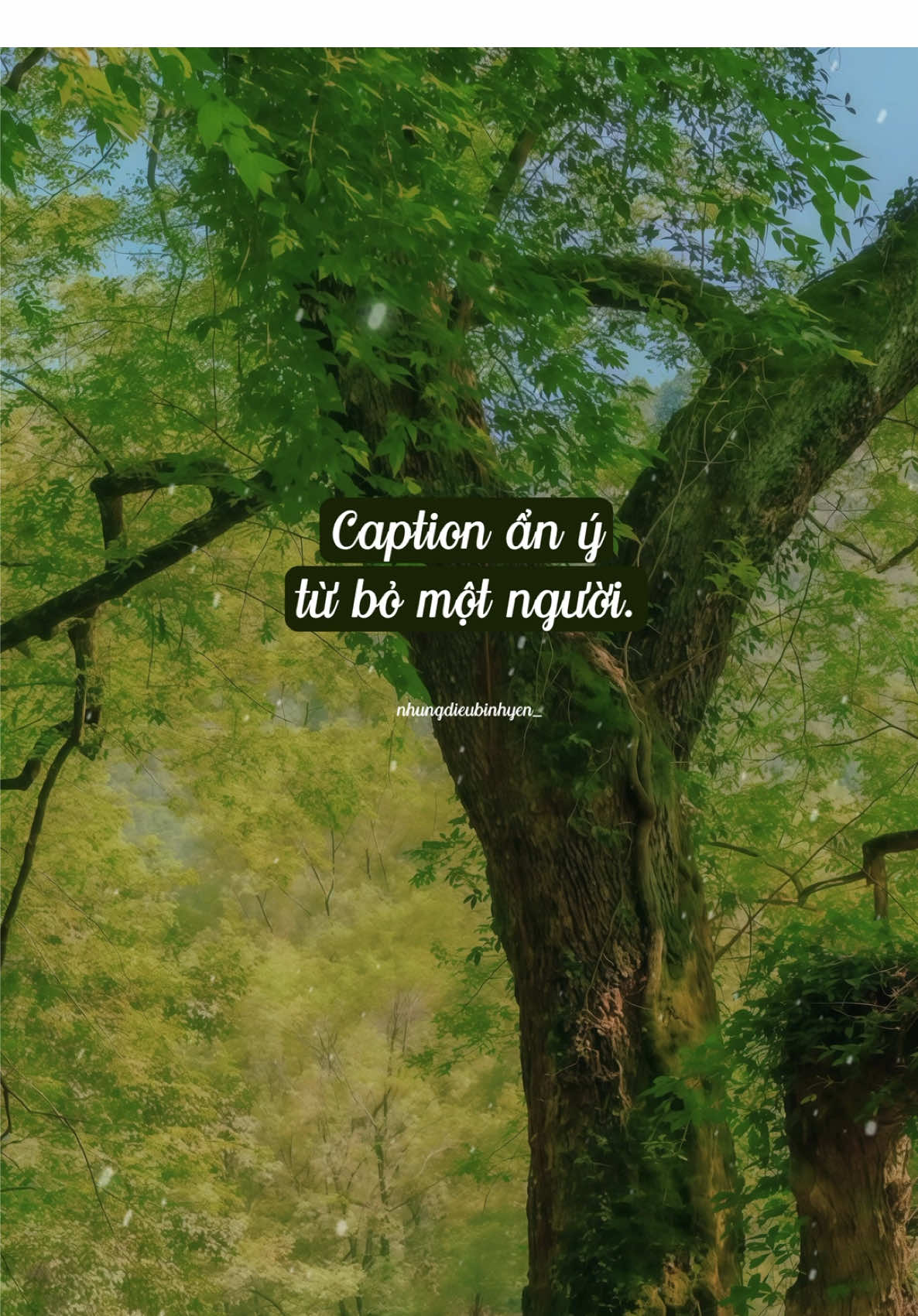 Có câu nào ẩn ý một cách tinh tế 