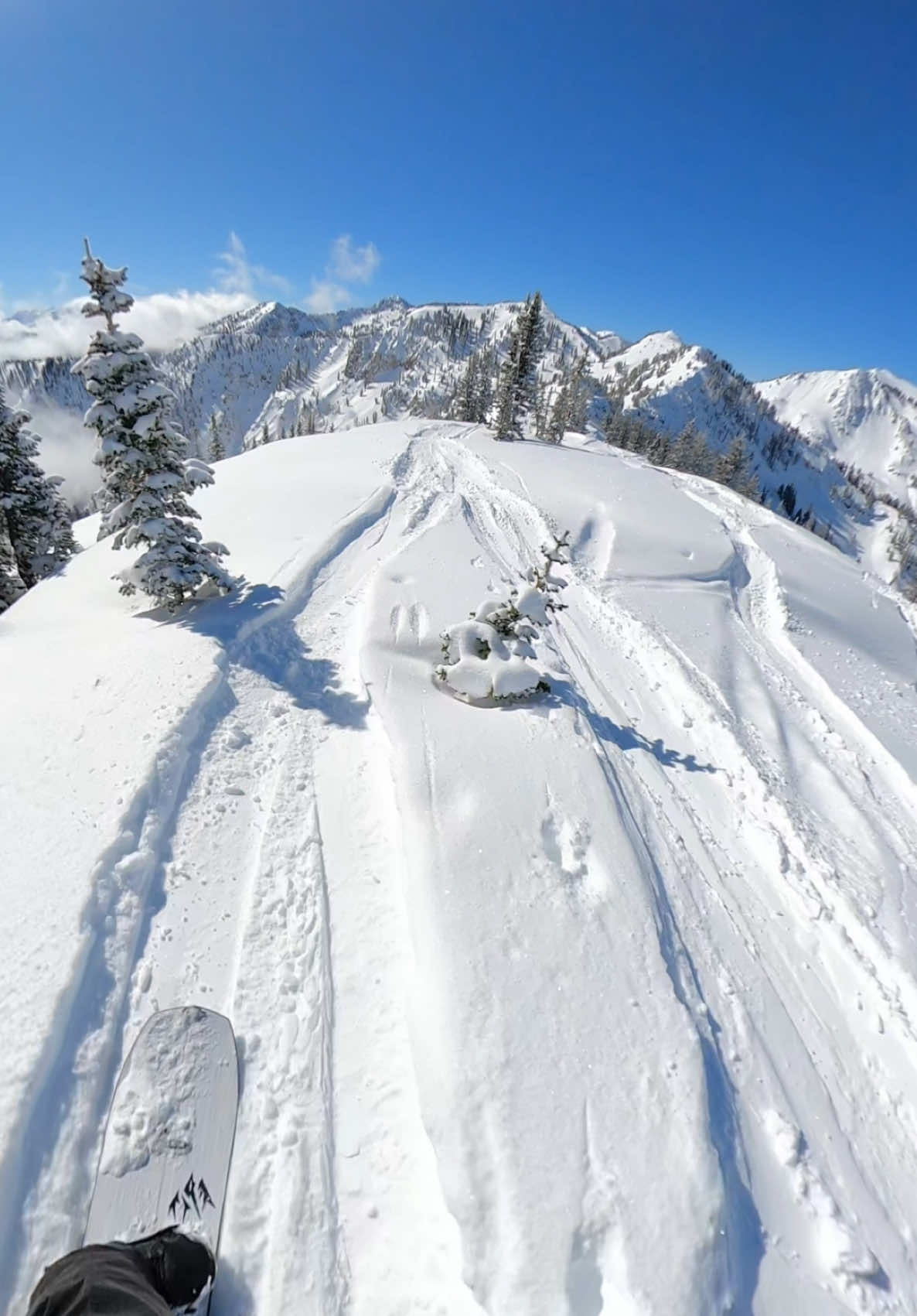“Just looking for some pow, really”  @BrightonResort  #snowboarding #snowboardinglife #skiiing #skiinglife #skiseason #snowstorm #powder #ut #utah #gopro #gopromax #backcountryskiing #backcountrysnowboarding #burtonstepons #stepon #stepons #cliff #cliffdrop #sendit