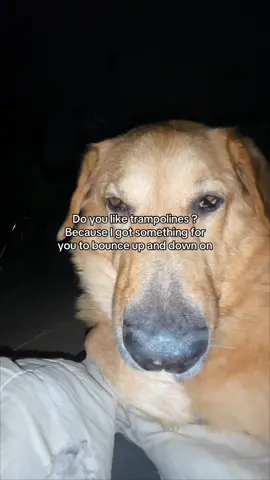 so cute.  #begging #obedience #meandyoubaby #unholythoughts #sneakythoughts #redthoughts #redthoughtsforher #goodgirl #eyecontact 