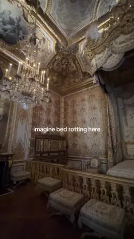 Eating McDonald’s on the bed😍😍😍😍 #palaceofversailles #freethegeckos #bedrot 