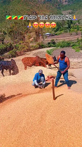 #foru #creatorsearchinsights #tik_tok #አባዪ #ethiopian_tik_tok🇪🇹🇪🇹🇪🇹🇪🇹 #vairalvideo #habeshatiktok #foruyou #የገጠር 