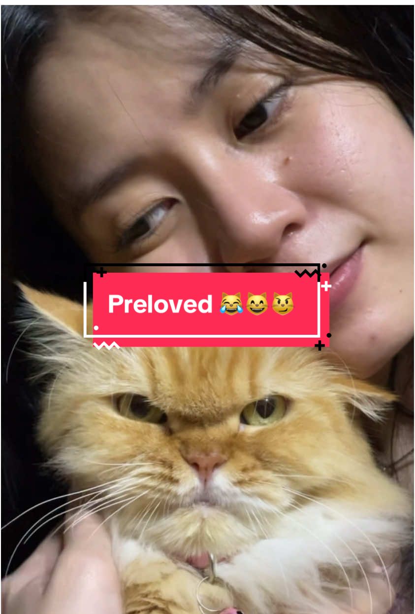 Wajah Caca langsung berubah dunggg saat mama bilang dibayar maharnya aja🤣🤣🤭 #fyp #berandatiktok #semuaorang #folowers 