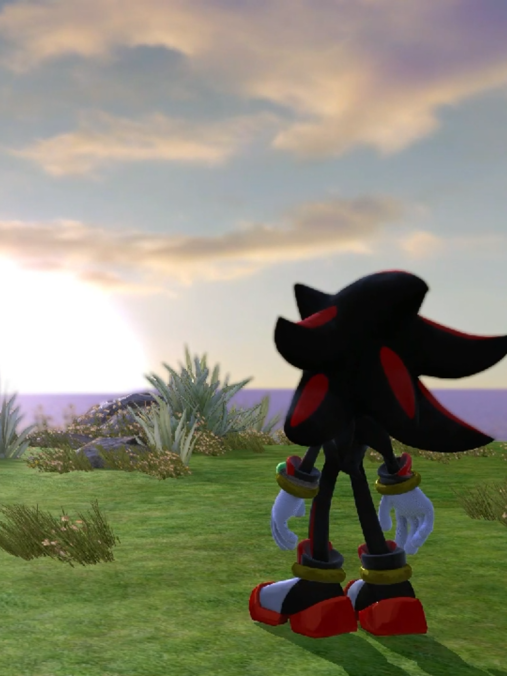 This game is still a masterpiece, really happy to beat this game again on pc with the recompiled version if it #shadowthehedgehog #sonicunleashed 