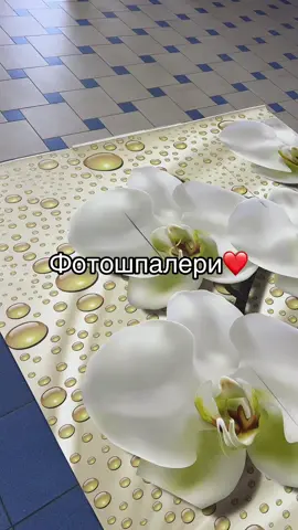 #фотообоиукраина #фотошпалери #3dпечать #designoboi 