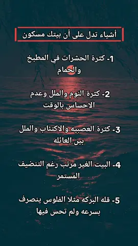 #infoburst #fyp #معلومات_عامة #foryou 