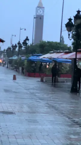 #tunisia🇹🇳 #aljerie_🇩🇿 