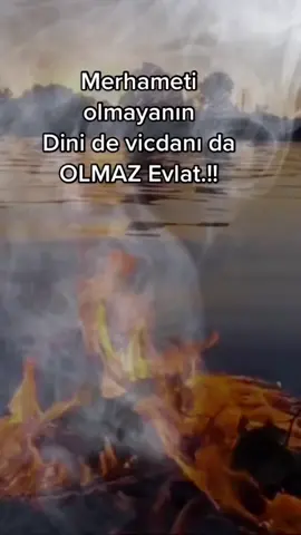 #müslüm #müslümgürses #müslüm🅱️🅰️🅱️🅰️♾
