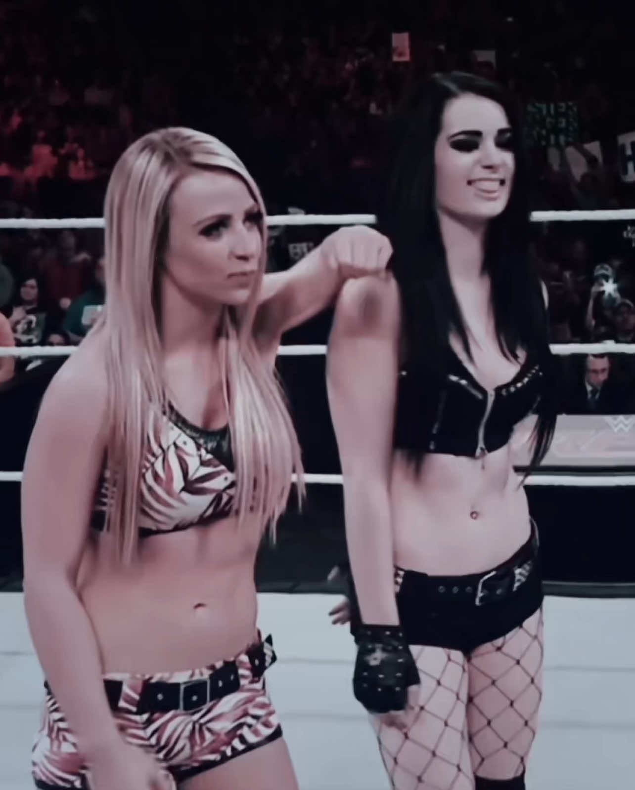 #PAIGE this is so choppy tbh. #WWE #wwefan #fyp #virl #aftereffectsedits #vsp #paigewwe #paigewwediva #paige #paigewweedit #saraya #sarayaaew  @✰𝐵𝐿𝐼𝒮𝒮 ✰ @bxckylynch @an!a @𝐿𝑖𝑙𝑙𝑦🤍 @ঌ 𝒋𝒂𝒔𝒐𝒏 ໒꒱ @rheastxr @I 𖣂 @★ 𝖘𝖈𝖆𝖗𝖑𝖊𝖙𝖙 ★ @wwe.dreams 