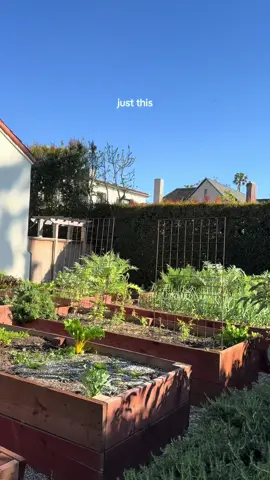 spring on the horizon