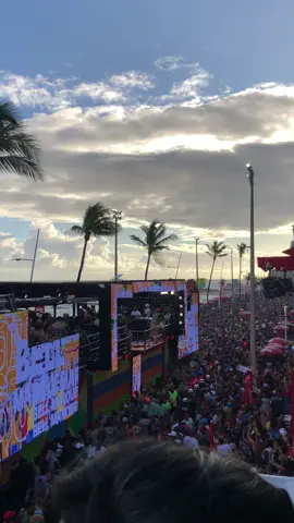 Carnaval de salvador.🥳 #carnavaldesalvador #bellmarques #blococamaleão #circuitobarraondina  Rei do carnaval.@Bell Marques ❤️