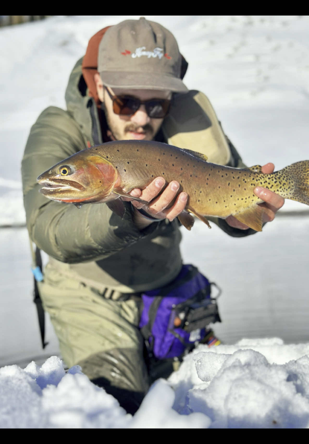 The Yellowstone [cutthroat] ⇞  #mtnszn #backcountryszn #tightlines #flyfishing 