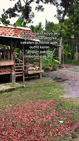 🙏#mutiaraf4rm #peternakmuda #domba #kambing #fyp 
