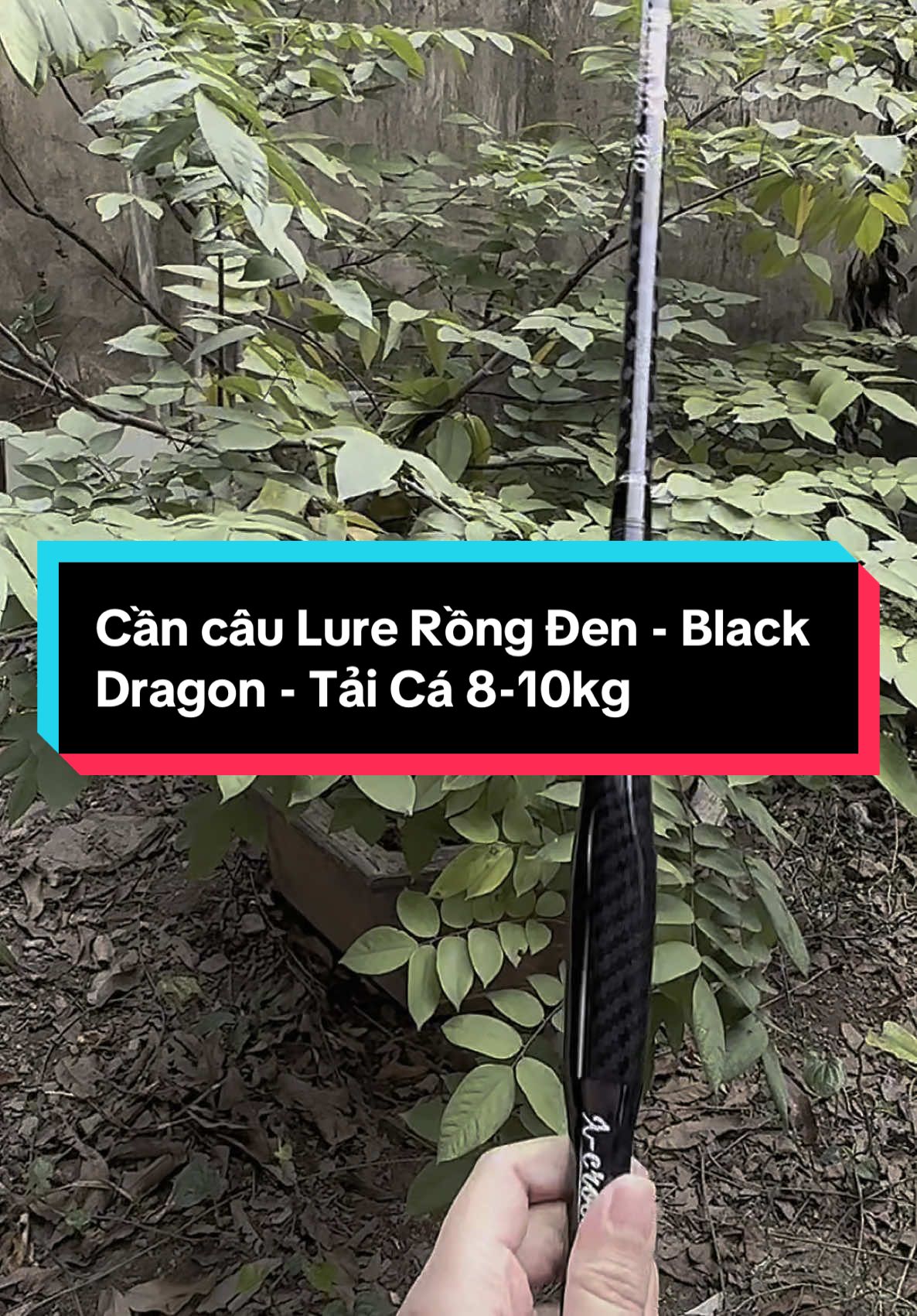 Cần cây lure Rồng Đen - Black Dragon s4 - Cần Rẻ Xoắn X Toàn Thân - Pu Chống Xoắn #caucagiaitri #cancautaygiare #caucagiaitri🎣🎣🎣🎣🎣 
