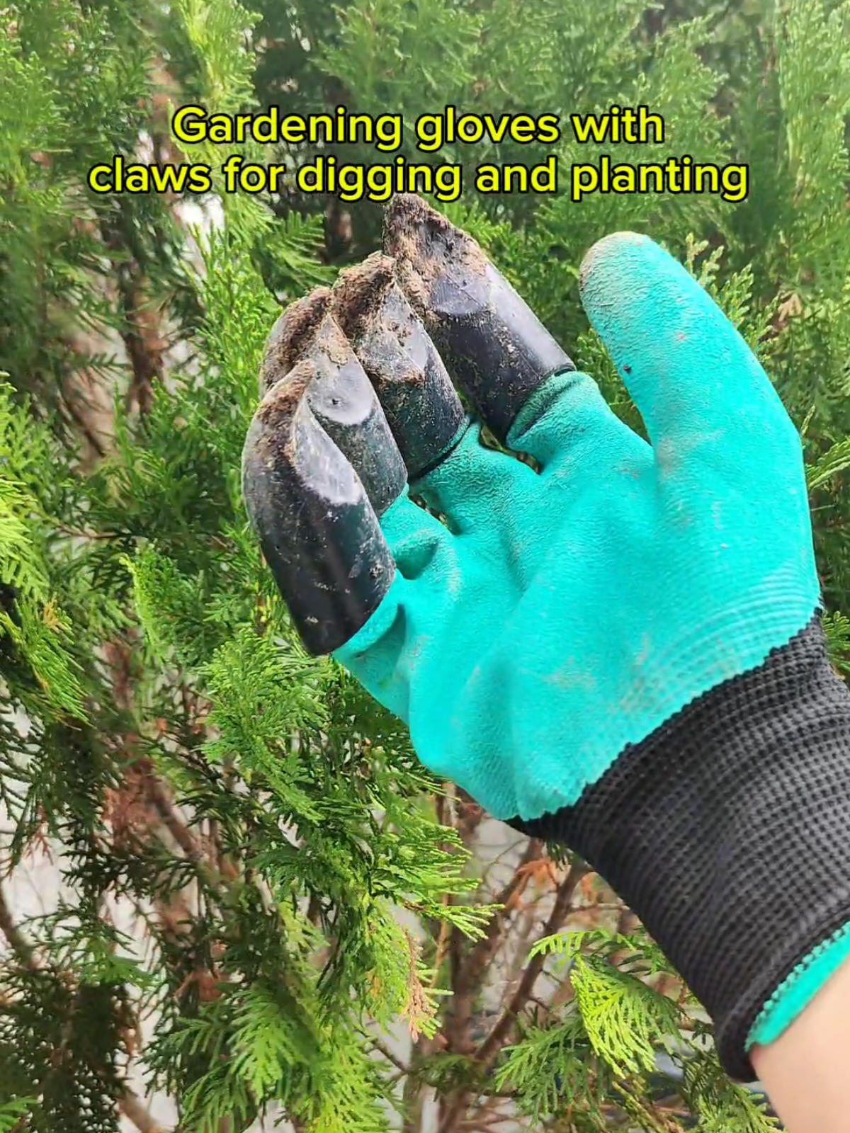 Gardening gloves with claws for digging and planting 🌱 #gardening #gardeninggloves #gloves #gardeningtools 