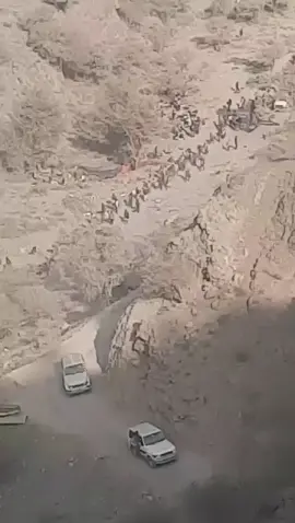 #ethiopian_tik_tok🇪🇹🇪🇹🇪🇹🇪🇹 