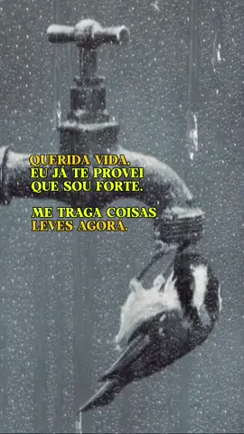 QUERIDA VIDA, EU JÁ TE PROVEI QUE SOU FORTE. ME TRAGA COISAS LEVES AGORA.#frase #reflexiao #reflexaododia 