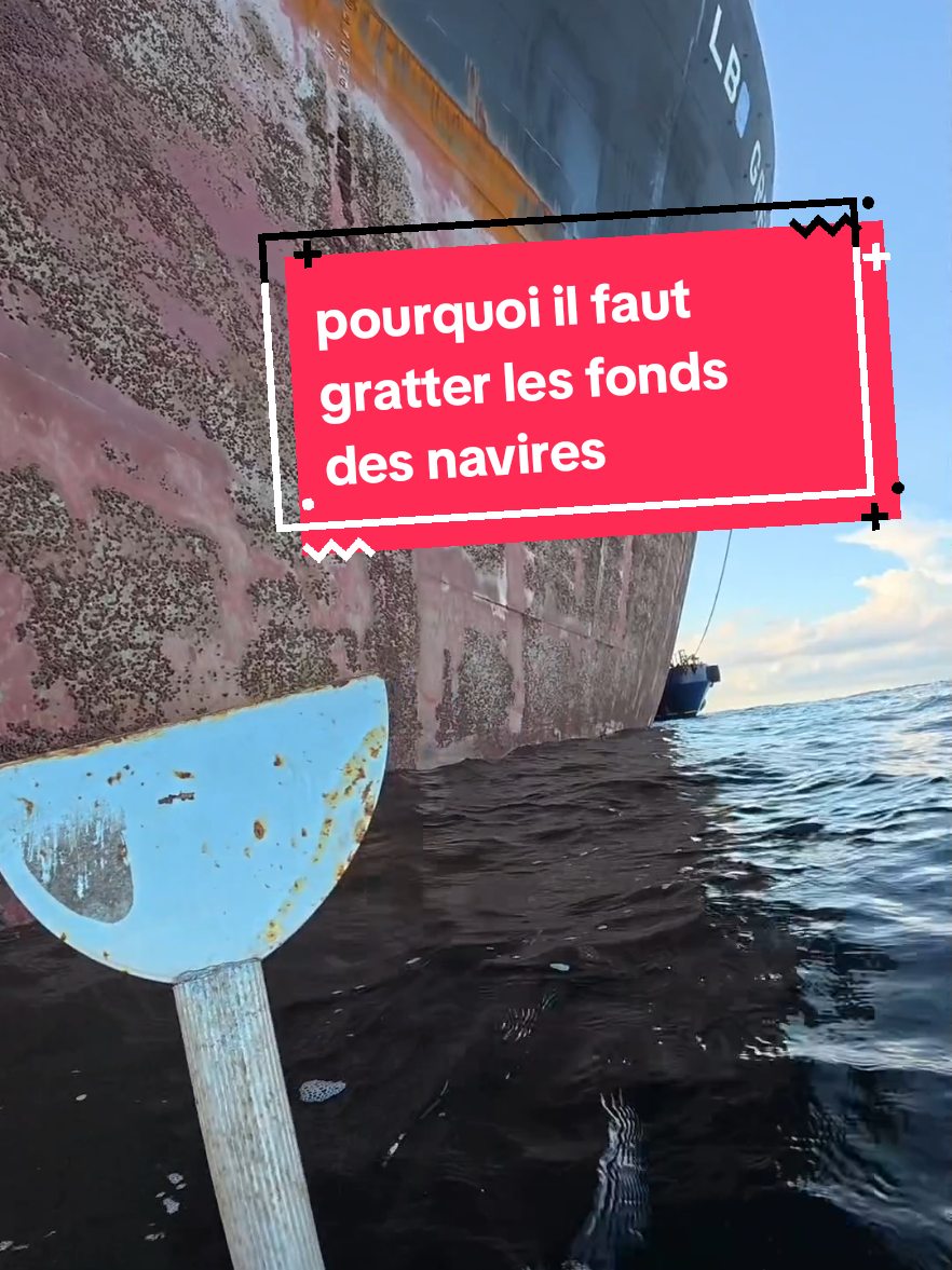 pourquoi il faut gratter régulièrement les coques des navires. #ocean #bateau 