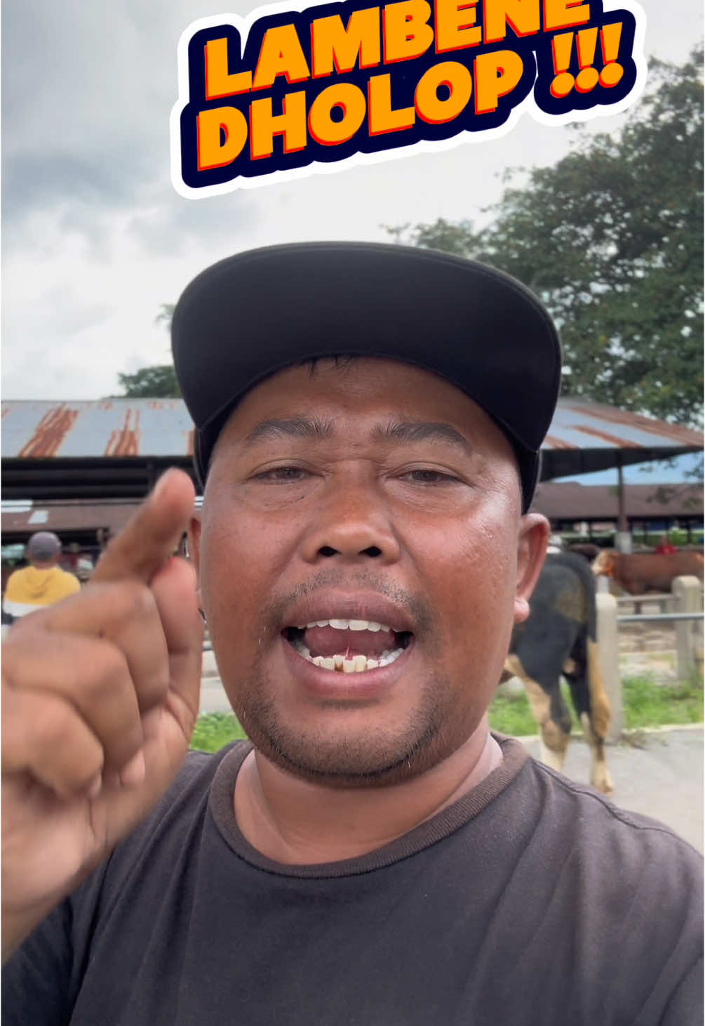 LAMBE LUNYU ‼️#sobatngaret #sobatngaritnusantara #sobatngarit #tiktok #masbjahsapi #youtuber #youtube #kontenkreator #kontenkreatorpemula #dolop #lambelunyu #blantik #blantiksapi 
