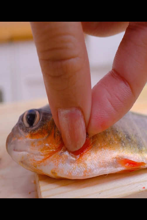 #miniature #minicooking #foryou #yummybakery 