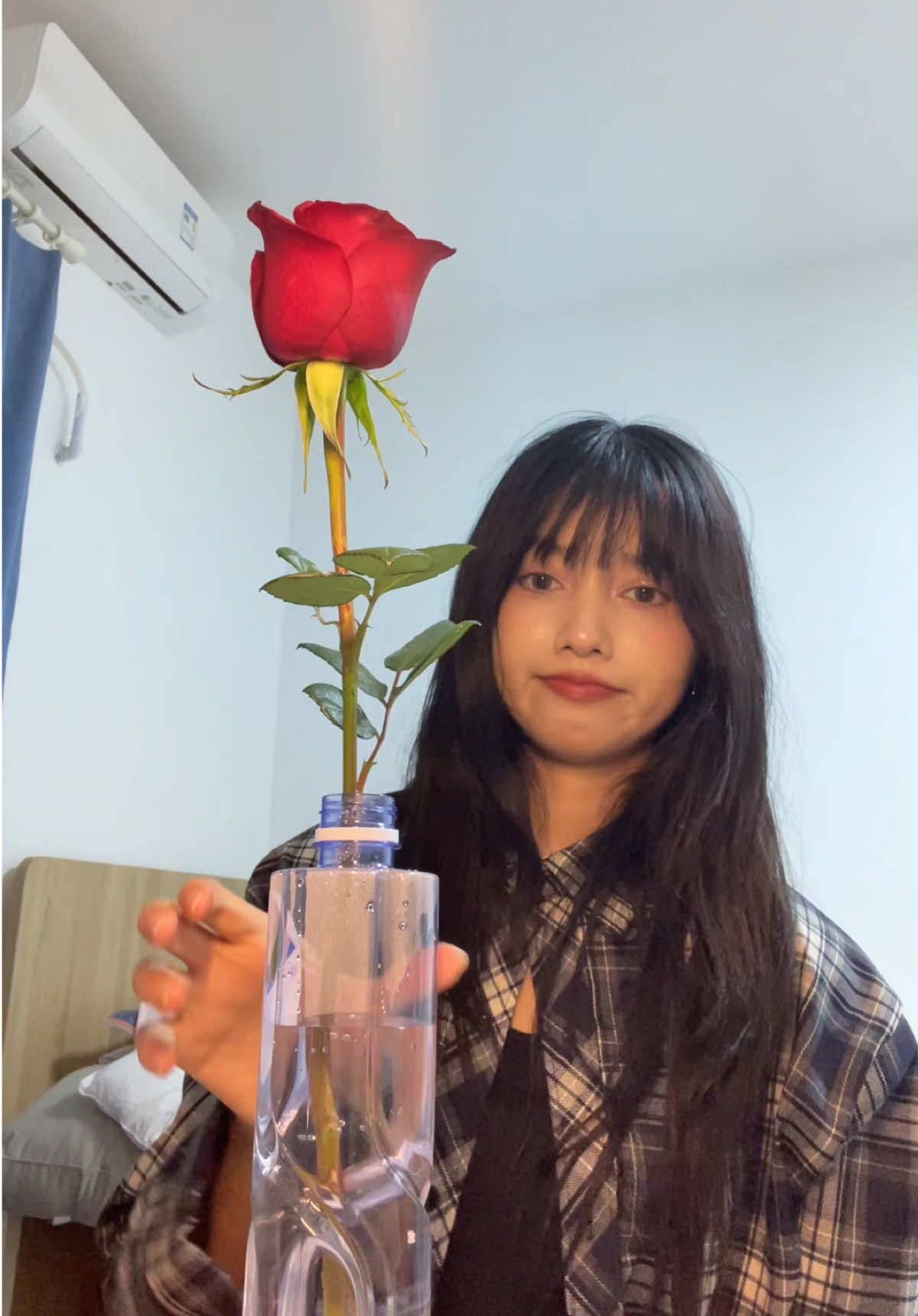 pretend to be sang zhi with a rose given by duan jiaxu🥹🫵🏻✨ #รักษาดอกไม้ #hiddenlove #ดอกไม้ #กุหลาบ #fyp 