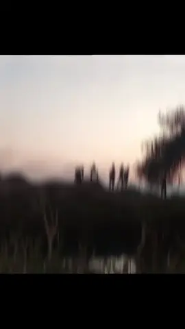 လူဆုံမဲ့အချိန်းကိုစောက်နေဆဲပါဘဲ သူငယ်ချင်းတို့#အားပေးသူတိုင်းကိုကျေးဇူးတင်ပါတယ်😘😘😘 #မင်းတို့idolဖစ်ချင်လို့🤭 