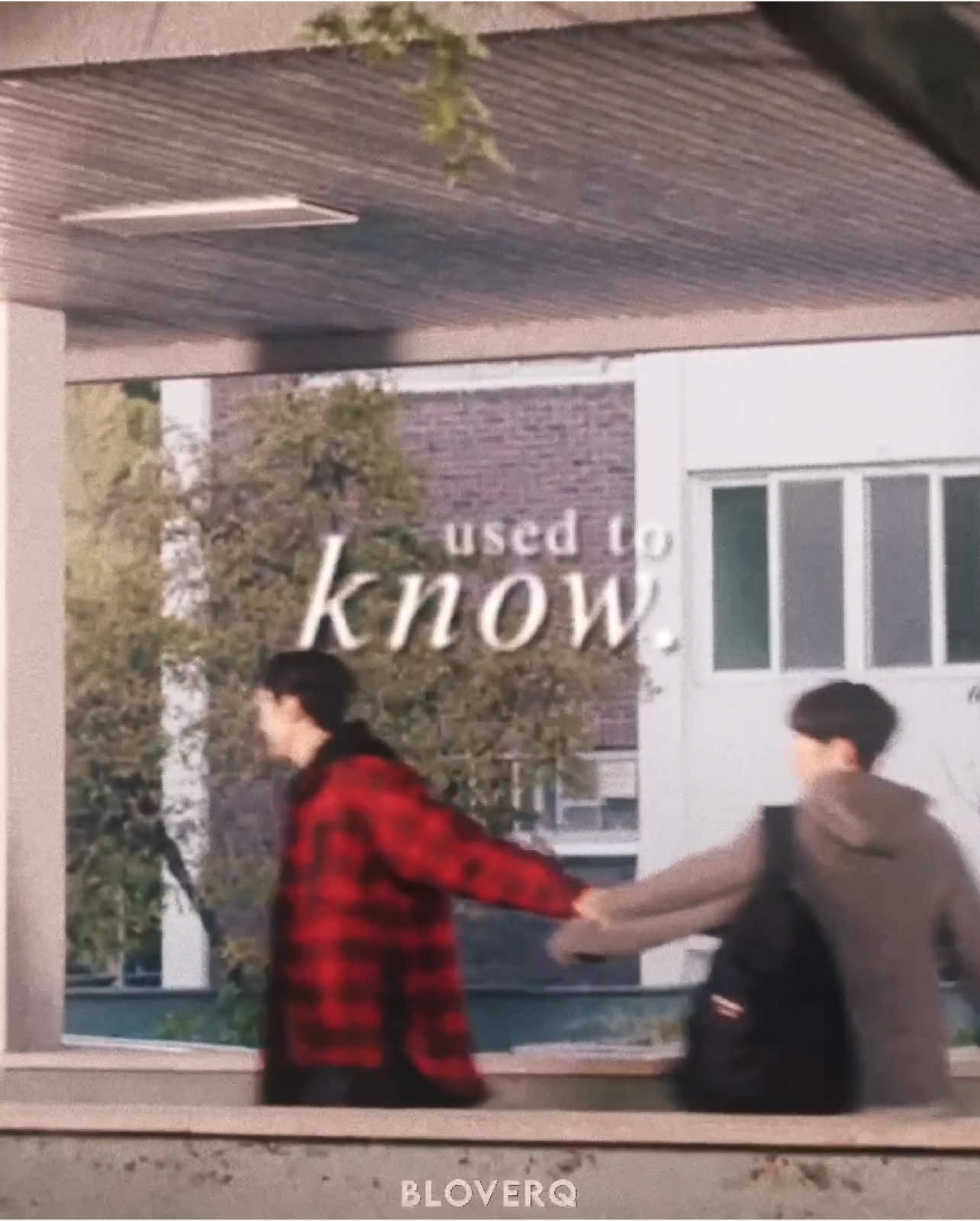 ⚠️NOT A SHIP EDIT⚠️ their song!! #bloverq #bloverqmotherofkimchay #secretrelationshipsmanhwa #secretrelationshipkdrama #jungdaon #jungdaonedit #kimjunseo #chasunhyung #juseonghyeon #juseonghyeonedit #kimhoyoung #sinjaemin #sinjaeminedit #chajungwoo #kimsuhyeon #kimsuhyeonedit #kbl #kdramabl #kdramablseries #bl #boyslove #fyp #fypシ 