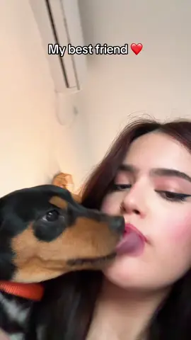 החבר הכי טוב שלי #כלב #פינצרמעורב #אהבה #פוריו 
