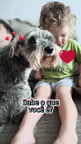 #netinho #dog #petslover #melhoramigo #amor #vida #familia 