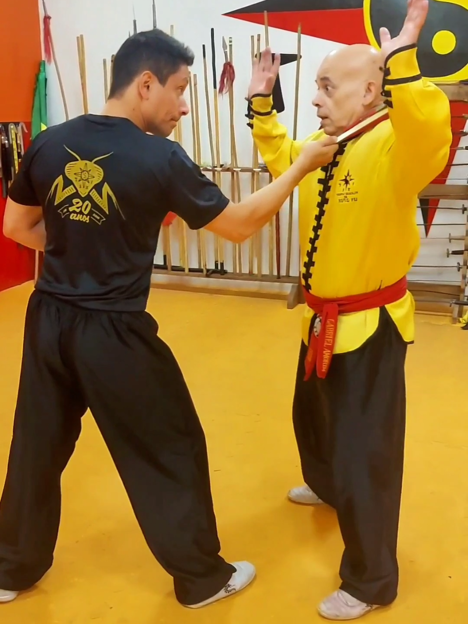#tskf #kungfu #wushu #artemarcial #artesmarciais #defesapessoal #shaolin #chikung
