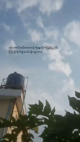 $ရှက်လဲရှိအုန်း🙂 ဘာကောင်မတွေလဲ #မဖယုတ်နဲ့ယေ #ညတင်likeမရမှန်းသိပေမဲ့တင်လိုက်ပြီ #viewsproblem😭 