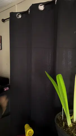 What are some things you like to do after drop off? #creatorsearchinsights #spendthemorningwithme #sahmmorningroutine #realisticmomlife #roadto10k 