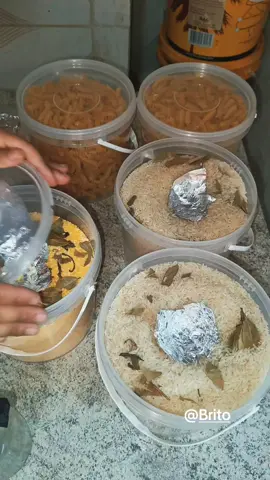 Você já começou o seu estoque? link dos baldes na minha Bio  #sobreviventedodia #survival #apagaomundial #apagao #sobrevivencia #sobrevivencialismo   #sobrevivencialismo  #prepper    #preppers    #shtf   #bob #suprimentos   #estoquedecomida    #estoquedealimentos   #edc    #everydaycarry   #bugoutbag  #gethomebag   #homedefense   #survival  #survivalist  #survivalistskills   #selfdefense   #greyman   #armazenamento   #armazenaralimentos   #armazenamentodealimentos  #prepperessentials   #preppertok   #prepping    #stockpile    #naturaldisastersurvival   #doomsdaypreppers    #homeprotection   #estoquedecomida   #estoquedealimentos    #alimentos   #armazenamentodeagua 
