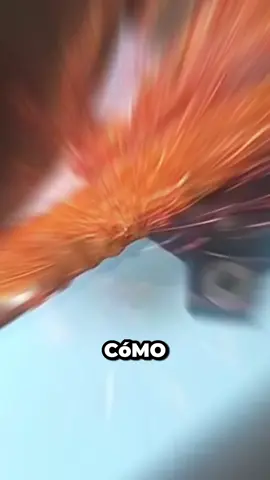 Cómo se le ocurrió una herramienta tan increíble a este hombre ??? #shorts #curiosidades #fyp #SabiasQue #datoscuriosos #interesting #parati #storytelling #tecnologia 