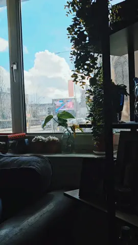 #trendingvideo #trending #fy #virał #fyp #foryou #foryoupageofficiall #foryoupage #Alhamdulillah #beautifulday 