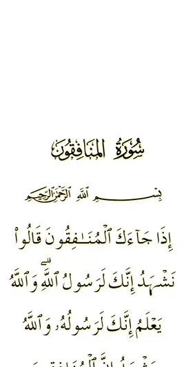63 || Sourate Al-Munafiqoon , Abdallah Matrood  #Quran#coran#islamic_video#Recitation#muslim#allah❤️#matrood#Ramadan#sudais 