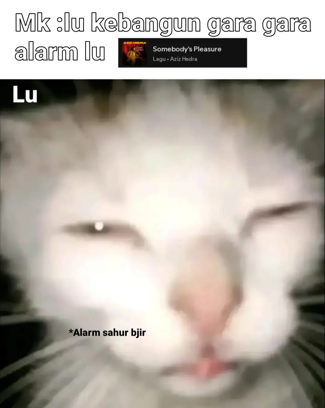 cuma gw doang bjir 😹 #somebodyspleasure #alarm #alarmsahur #laguazizhedra #galaubrutal #fyp #trending #viral #4u #4upage #xybca #foryou #memekucing #foryoupage #masukberandafyp #fypシ゚ #fyppppppppppppppppppppppp @FUFUFAFAZA 