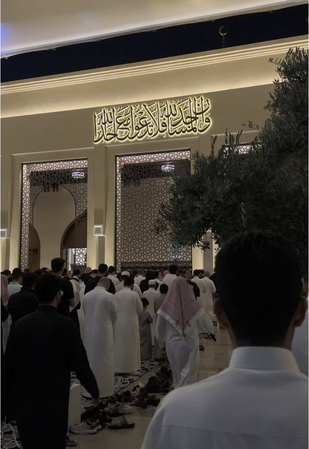 القارئ عبدالله الموسى  وخشعت الاصوات للرحمن #اكسبلور #قران_كريم #عبدالله_الموسى #رمضان #تلاوة_خاشعة #explore #fyp 