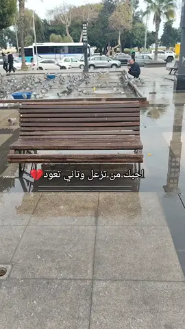 #زيزو #احبك #مرسين #المانيا_تركيا_سوريا_لبنان_العراق 