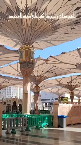 وفتحي بابك يامدينة #أناشيد_أسلامية #اللهم_صلي_على_نبينا_محمد #مكة #أم_نور_الدين_قرآن_كريم 