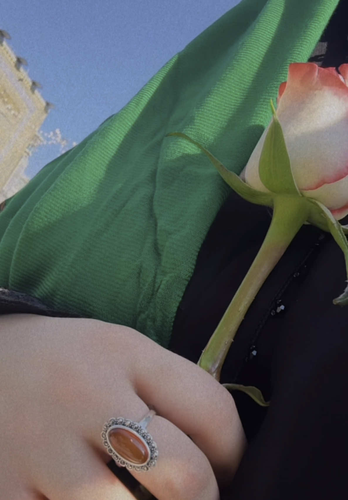 #علي_ابن_موسى_الرضا #غريب_طوس #مشهد #انيس_النفوس #مولاى_ياصاحب_الزمان #زيارة 