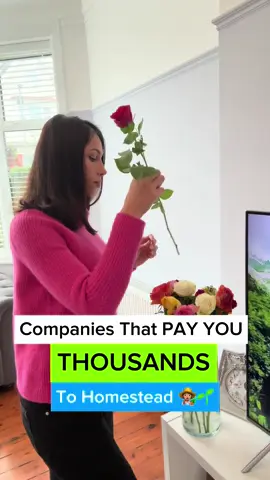 Here’s the list 👇🏽 🌱Homestead Supplier 🌱Homesteaders of America 🌱The Homestead Education 🌱Healthy Homestead Living 🌱Modern Homestead 🌱Mama on the Homestead 🌱Lehman’s 🌱Rich Soil  I bet you didn’t know over 86% of companies have affiliate programs that PAY YOU to promote them.  It takes 2-3 hours per day and you can do it directly from your phone 📲  This is one of the highest paying remote jobs announced by Forbes 3rd year in a row! 🤩🚀 Here’s what you need to do: Choose a niche eg Homesteading Go to Google and type in “affiliate program” and sign up to one that pays high commissions. Once you’ve signed up you’ll be given your unique affiliate link.  Create a brand new social media account and start creating content around homesteading. When someone buys through your link - you get paid!💰 This is making ordinary people  between 5-6 figures a MONTH online!🔥💰 If you want to learn exacts steps I took to learn this high income skill👇🏽   Comment “learn” and I’ll send you my free guide with all the details. FOLLOW me for daily tips!🙌🏽 #sidehustles #workfromhome #workfromhomejobs #affiliatemarketing #digitalmarketing #passiveincome #howtomakemoneyonline 