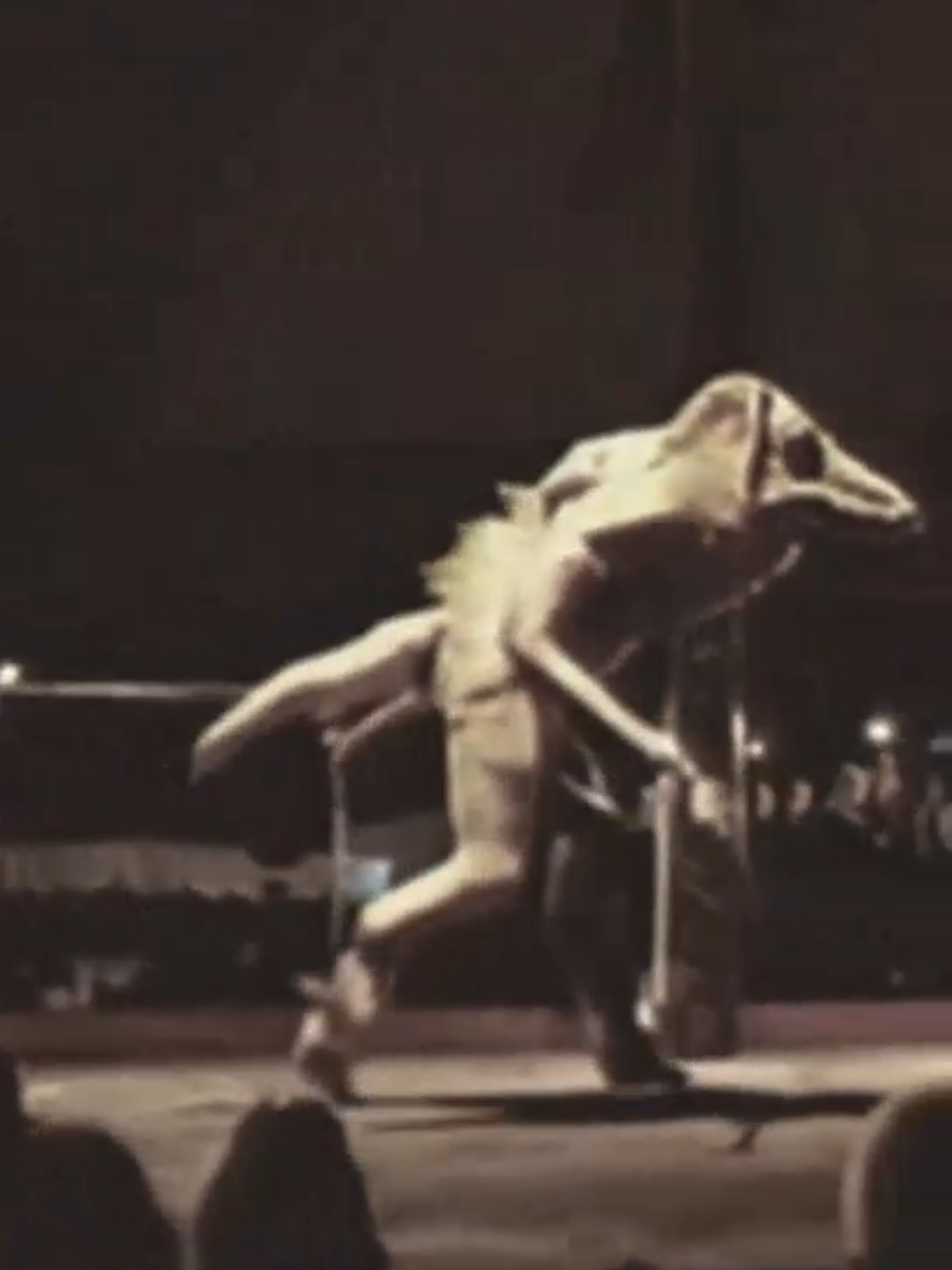 o circo recebeu uma atração diferente naquela noite 💀 #BizarreCreatures #ParanormalCatch #ScaryMoments #MysterySightings #CaughtOnCamera #CreepyDiscoveries 