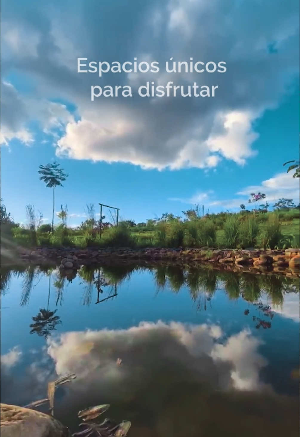 Naturaleza, exclusividad e ingresos fijos garantizados con Retorno Rápido  🌿 📍#MundoYanashpa: En las alturas de #Tarapoto #Inversionistas #Condominio #Exclusividad #Naturaleza #Paraíso