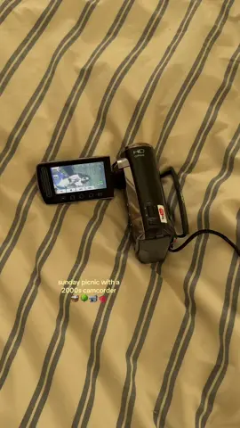 birthday picnic in the park 🤸‍♀️📹🌳🧁@Tia Page  #minivlog #lavlog #handycam #vhs #aesthetic #2000scamera 