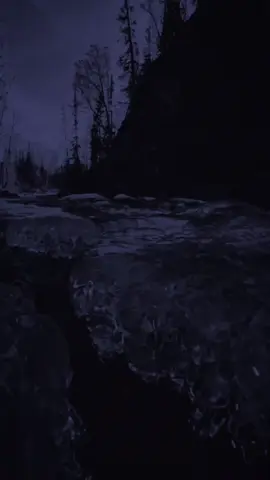 🎵VNASAKAR - 