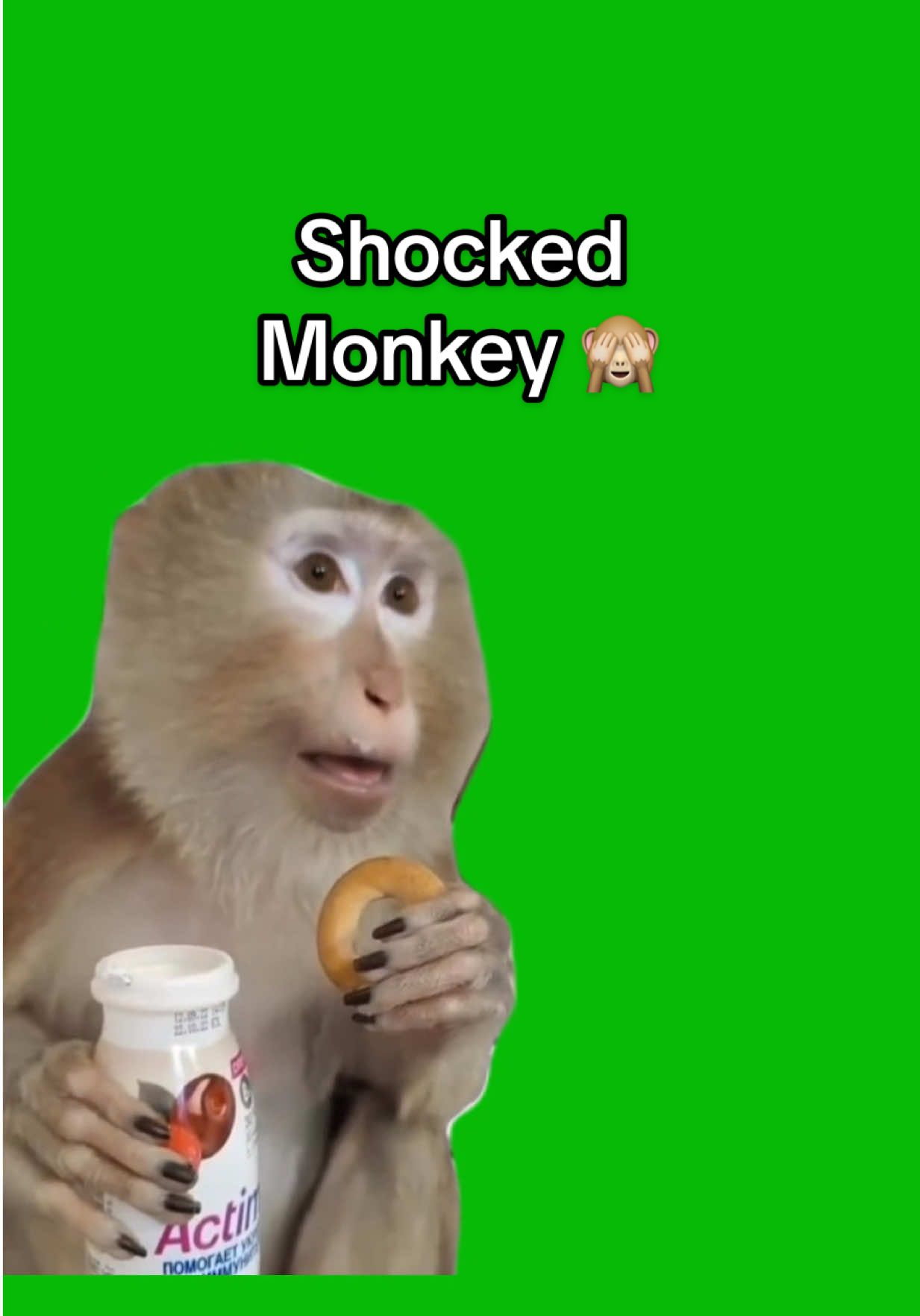 Shocked Monkey meme green screen capcut template #monkeymeme #shocked #surprised #monkey #meme #greenscreenmemes #capcuttemplates #CapCut 