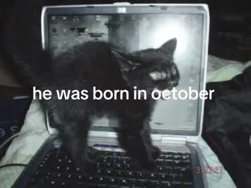 october boys 🖤 #october #libra #scorpio #fall #autumn 
