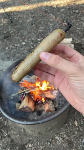 part 3 of the wiener trilogy