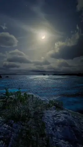 من ادعية شهر رمضان المبارك.. وهو هدية لمقام مولاي صاحب العصر والزمان عجل الله فرجه الشريف 🌹✋😇 الحَمْدُ للهِ مالِكِ المُلْكِ، مُجْرِي الفُلْكِ، مُسَخِّرِ الرِّياحِ، فالِقِ الاِصْباحِ، دَيّانِ الدَّينِ، رَبِّ العالَمِينَ. الحَمْدُ للهِ عَلى حِلْمِهِ بَعْدَ عِلْمِهِ، وَالحَمْدُ للهِ عَلى عَفْوِهِ بَعْدَ قُدْرَتِهِ، وَالحَمْدُ للهِ عَلى طُولِ أَناتِهِ فِي غَضَبِهِ، وَهُوَ قادِرٌ عَلى ما يُرِيدُ. الحَمْدُ للهِ خالِقِ الخَلْقِ باسِطِ الرِّزْقِ، فالِقِ الاِصْباحِ، ذِي الجَلالِ وَالاِكْرامِ، وَالفَضْلِ وَالاِنْعامِ، الَّذِي بَعُدَ فَلا يُرى، وَقَرُبَ فَشَهِدَ النَّجْوى، تَبارَكَ وَتَعالى. الحَمْدُ للهِ الَّذِي لَيْسَ لَهُ مُنازِعٌ يُعادِلُهُ، وَلا شَبِيهٌ يُشاكِلُهُ، وَلاظَهِيرٌ يُعاضِدُهُ، قَهَرَ بِعِزَّتِهِ الاَعِزَّاءَ، وَتَواضَعَ لِعَظَمَتِهِ العُظَماءُ، فَبَلَغَ بِقُدْرَتِهِ مايَشاءُ. الحَمْدُ للهِ الَّذِي يُجِيبُنِي حِينَ أُنادِيهِ، وَيَسْتُرُ عَلَيَّ كُلَّ عَوْرَةٍ وأَنا أَعْصِيهِ، وَيُعَظِّمُ النِّعْمَةَ عَلَيَّ فَلا اُجازِيهِ، فَكَمْ مِنْ مَوْهِبَةٍ هَنِيئَةٍ قَدْ أَعْطانِي، وَعَظِيمَةٍ مَخُوفَة قَدْ كَفانِي، وَبَهْجَةٍ مونِقَةٍ قَدْ أَرانِي، فأُثْنِي عَلَيْهِ حامِداً وَأَذْكُرُهُ مُسَبِّحاً. الحَمْدُ للهِ الَّذِي لا يُهْتَكُ حِجابُهُ، وَلا يُغْلَقُ بابُهُ، وَلا يُرَدُّ سائِلُهُ، وَلا يُخَيَّبُ آمِلُهُ. الحَمْدُ للهِ الَّذِي يُؤْمِنُ الخائِفِينَ، وَيُنَجِّي الصَّالِحِينَ، وَيَرْفَعُ المُسْتَضْعَفِينَ، وَيَضَعُ المُسْتَكْبِرِينَ، وَيُهْلِكُ مُلُوكا وَيَسْتَخْلِفُ آخَرِينَ. الحَمْدُ للهِ قاصِمِ الجَبَّارينَ، مُبِيرِ الظَّالِمِينَ، مُدْرِكِ الهارِبِينَ، نَكالِ الظَّالِمِينَ، صَرِيخِ المُسْتصرِخِينَ، مَوْضِعِ حاجاتِ الطَّالِبِينَ، مُعْتَمَدِ المُؤْمِنِينَ. الحَمْدُ للهِ الَّذِي مِنْ خَشْيَتِهِ تَرْعَدُ السَّماء وَسُكَّانُها، وَتَرْجُفُ الأَرْضُ وَعُمَّارُها، وَتَمُوجُ البِحارُ وَمَنْ يَسْبَحُ فِي غَمَراتِها. الحَمْدُ للهِ الَّذِي هَدانا لِهذا، وَما كُنا لِنَهْتَدِيَ لَوْلا أَنْ هَدانَا اللهُ. الحَمْدُ للهِ الَّذِي يَخْلُقُ وَلَمْ يُخْلَقْ، وَيَرْزُقُ وَلا يُرْزَقُ، وَيُطْعِمُ وَلايُطْعَمُ، وَيُمِيتُ الاَحْياءَ وَيُحْييَ المَوْتى وَهُوَ حَيٌ لايَمُوتُ، بِيَدِهِ الخَيْرُ وَهُوَ عَلى كُلِّ شَيْءٍ قَدِيرٌ. #رمضان_يجمعنا  #اكسبلورexplore❥🕊  #رمضان_يجمعنا🌙  #ppppppppppppppppppppppp  #pppppppppppppppp  #اكسبلورexplore @شيف الأحساء Al_Ahsa Cook🌴🌱 