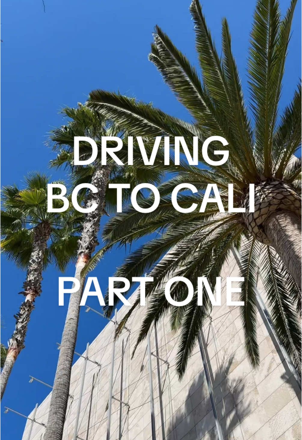 Part One - Driving BC to California with a Toddler and a Tesla. Vancouver to Peace Arch border! 🌴 Unaesthetic move out - we used bags and boxes we already owned!  #teslaroadtrip #vancouvertolosangeles #toddlerroadtrip #bctocalifornia #movingtolosangeles #movingvlog #vancouver #i5 